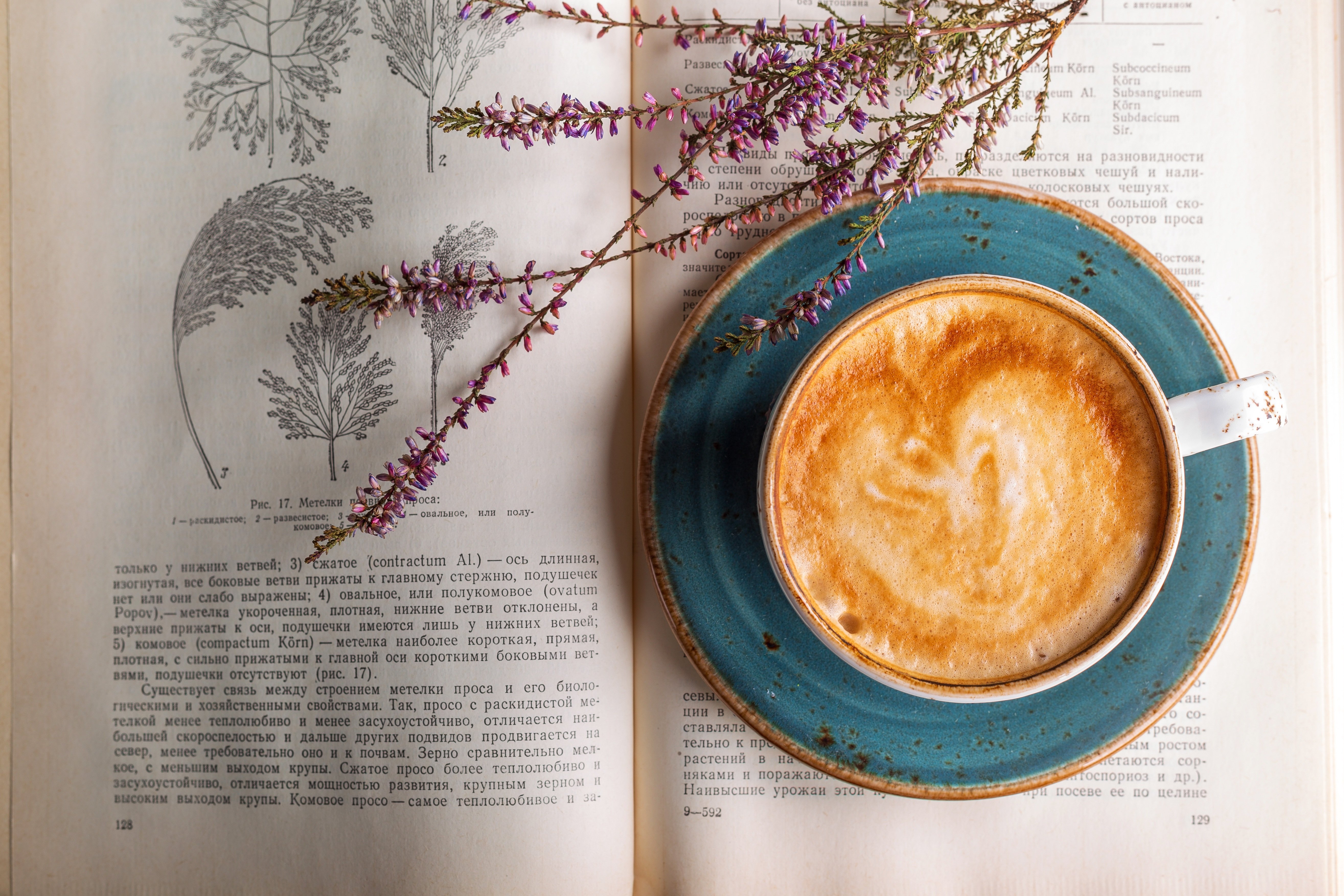 Café Atmosphäre